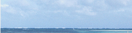 www.traveljungle.co.uk